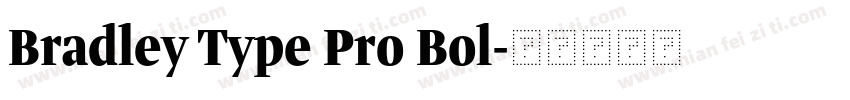 Bradley Type Pro Bol字体转换